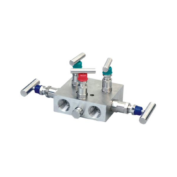 5VM, Five Valve Manifold