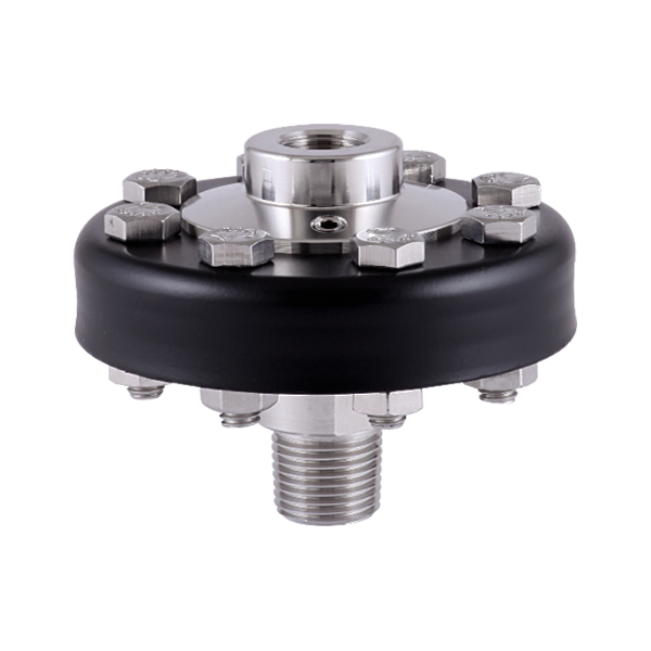 DS20 Screwed Diaphragm Seal